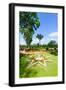 Bahai Gardens, Acre-RnDmS-Framed Photographic Print