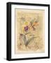 Bahama Breeze I-Paul Hargittai-Framed Art Print