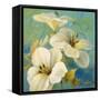 Bahama Breeze II-Lanie Loreth-Framed Stretched Canvas