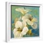 Bahama Breeze II-Lanie Loreth-Framed Art Print