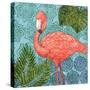 Bahama Flamingo II-Paul Brent-Stretched Canvas