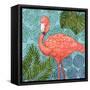 Bahama Flamingo II-Paul Brent-Framed Stretched Canvas