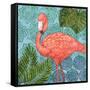 Bahama Flamingo II-Paul Brent-Framed Stretched Canvas