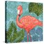 Bahama Flamingo II-Paul Brent-Stretched Canvas