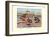 Bahama, Galapagos Island, and African Red-Billed Ducks-Louis Agassiz Fuertes-Framed Premium Giclee Print