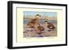 Bahama, Galapagos Island, and African Red-Billed Ducks-Louis Agassiz Fuertes-Framed Premium Giclee Print