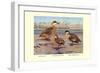 Bahama, Galapagos Island, and African Red-Billed Ducks-Louis Agassiz Fuertes-Framed Premium Giclee Print
