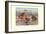 Bahama, Galapagos Island, and African Red-Billed Ducks-Louis Agassiz Fuertes-Framed Art Print