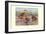 Bahama, Galapagos Island, and African Red-Billed Ducks-Louis Agassiz Fuertes-Framed Art Print