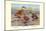 Bahama, Galapagos Island, and African Red-Billed Ducks-Louis Agassiz Fuertes-Mounted Art Print