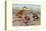 Bahama, Galapagos Island, and African Red-Billed Ducks-Louis Agassiz Fuertes-Stretched Canvas