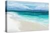Bahama Storm-Suzanne Wilkins-Stretched Canvas