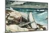 Bahamas, 1899-Winslow Homer-Mounted Giclee Print