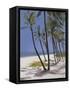 Bahamas, 2002-Alessandro Raho-Framed Stretched Canvas