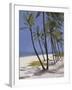 Bahamas, 2002-Alessandro Raho-Framed Giclee Print