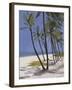 Bahamas, 2002-Alessandro Raho-Framed Giclee Print