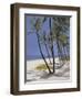 Bahamas, 2002-Alessandro Raho-Framed Giclee Print