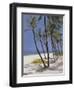 Bahamas, 2002-Alessandro Raho-Framed Giclee Print