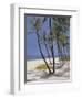 Bahamas, 2002-Alessandro Raho-Framed Giclee Print