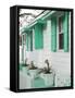 Bahamas, Eleuthera Island, Harbour Island, Dunmore Town, House Detail-Walter Bibikow-Framed Stretched Canvas
