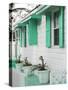 Bahamas, Eleuthera Island, Harbour Island, Dunmore Town, House Detail-Walter Bibikow-Stretched Canvas