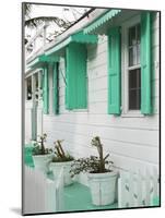 Bahamas, Eleuthera Island, Harbour Island, Dunmore Town, House Detail-Walter Bibikow-Mounted Photographic Print