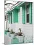 Bahamas, Eleuthera Island, Harbour Island, Dunmore Town, House Detail-Walter Bibikow-Mounted Photographic Print