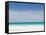 Bahamas, Eleuthera Island, Harbour Island, Pink Sands Beach-Walter Bibikow-Framed Stretched Canvas