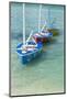 Bahamas, Exuma Island. Boats Moored in Harbor-Don Paulson-Mounted Photographic Print