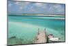 Bahamas, Exuma Island, Cays Land and Sea Park. Pier and Moored Boats-Don Paulson-Mounted Photographic Print