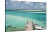 Bahamas, Exuma Island, Cays Land and Sea Park. Pier and Moored Boats-Don Paulson-Stretched Canvas