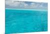 Bahamas, Exuma Island. Seascape of Aqua Ocean-Don Paulson-Mounted Premium Photographic Print