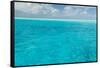 Bahamas, Exuma Island. Seascape of Aqua Ocean-Don Paulson-Framed Stretched Canvas