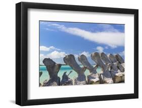 Bahamas, Exuma Island. Sperm Whale Bones on Display-Don Paulson-Framed Photographic Print