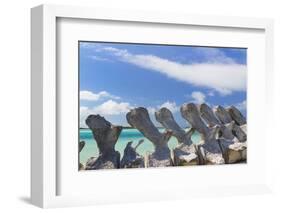 Bahamas, Exuma Island. Sperm Whale Bones on Display-Don Paulson-Framed Photographic Print