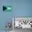 Bahamas Flag Design with Wood Patterning - Flags of the World Series-Philippe Hugonnard-Stretched Canvas displayed on a wall