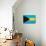 Bahamas Flag Design with Wood Patterning - Flags of the World Series-Philippe Hugonnard-Mounted Art Print displayed on a wall