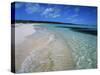 Bahamas. Pristine Beach-Kent Foster-Stretched Canvas