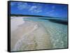 Bahamas. Pristine Beach-Kent Foster-Framed Stretched Canvas