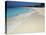 Bahamas. Pristine Beach-Kent Foster-Stretched Canvas