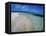 Bahamas. Pristine Beach-Kent Foster-Framed Stretched Canvas