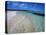 Bahamas. Pristine Beach-Kent Foster-Stretched Canvas