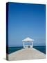 Bahamas, West Indies, Caribbean, Central America-Angelo Cavalli-Stretched Canvas