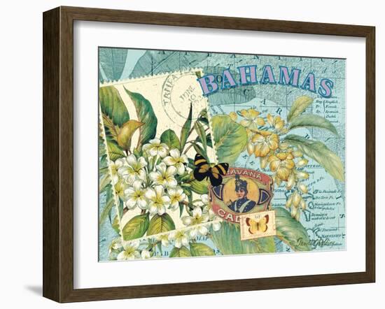 Bahamas-Pamela Gladding-Framed Art Print