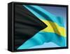 Bahamian Flag-bioraven-Framed Stretched Canvas