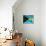 Bahamian Flag-bioraven-Stretched Canvas displayed on a wall