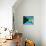 Bahamian Flag-bioraven-Art Print displayed on a wall