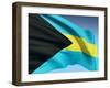 Bahamian Flag-bioraven-Framed Art Print