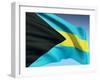 Bahamian Flag-bioraven-Framed Art Print