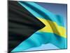 Bahamian Flag-bioraven-Mounted Art Print